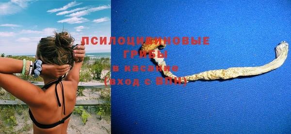 крисы Новозыбков