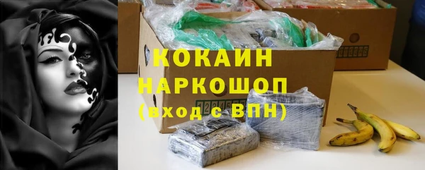 стаф Новодвинск