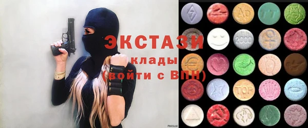 стаф Новодвинск