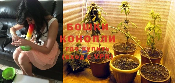гидра Билибино
