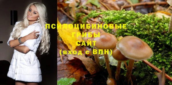 стаф Новодвинск