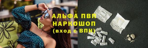 гидра Новокубанск