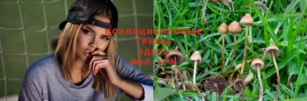 винт Болохово