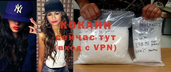 крисы Новозыбков