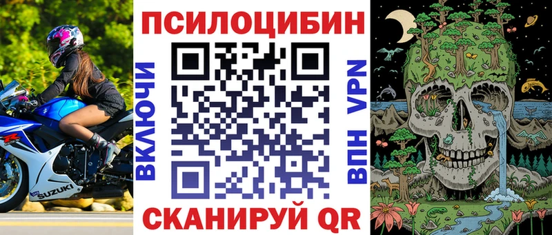 кракен как зайти  Арск  Галлюциногенные грибы мицелий 